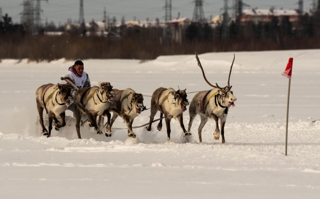 Travel to Murmansk, Russia